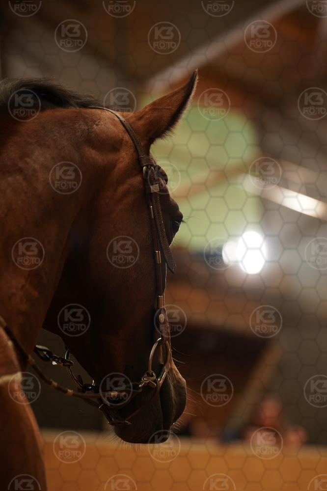 s_A9_08958.jpg